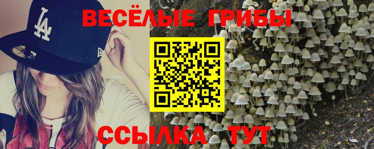 Александров  Галлюциногенные грибы ЛСД  Вход с VPN  Галлюциногенные грибы GOLDEN TEACHER 