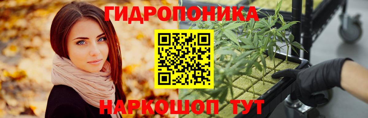 МАРИХУАНА Bruce Banner  Конопля марихуана  Вход с VPN  Александров  Шишки марихуана White Widow 